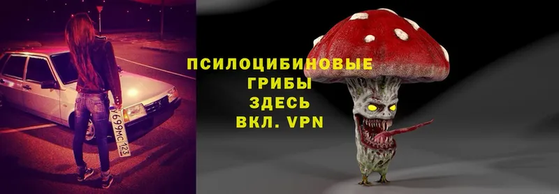 Псилоцибиновые грибы Psilocybe  Данков 